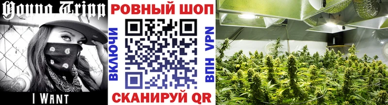 Наркошоп Неман Бошки Шишки Мефедрон ГАШ