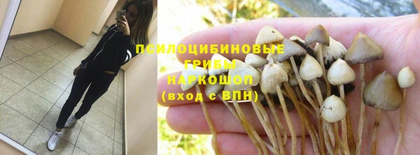 дмт Нея