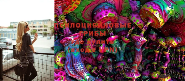 дмт Нея