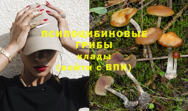 мяу мяу мука Навашино