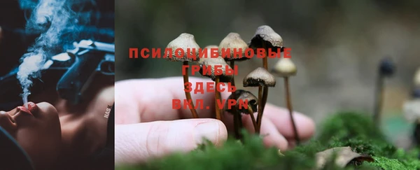 альфа пвп Нефтегорск