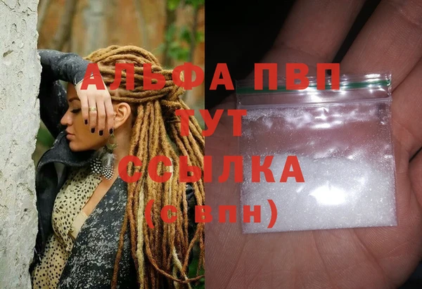 дмт Нея