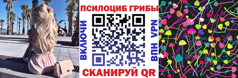 сколько стоит  Неман  Галлюциногенные грибы Cubensis 
